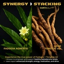 earth-elixir-lj100-tongkat-ali-fadogia-a-5.jpg