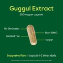 bestvite-guggul-extract-500mg-120-vegeta-5.jpg