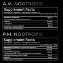 terra-elmnt-ultimate-focus-and-nootripic-3.jpg