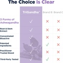 designs-for-health-trigandha---triple-as-4.jpg