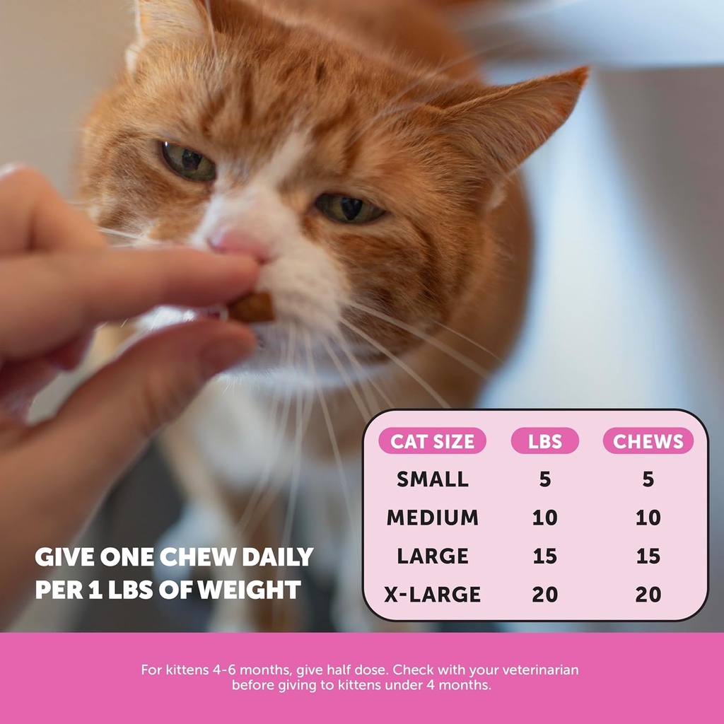 cat-multivitamin-chews---cat-treats-for--4.jpg