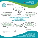 marphyl-marine-phytoplankton-wild-multi--4.jpg