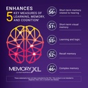 memoryxl-magnesium-l-threonate-brain-sup-3.jpg