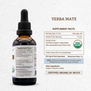 secrets-of-the-tribe-yerba-mate-usda-org-4.jpg