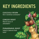banyan-botanicals-organic-punarnavadi-gu-2.jpg