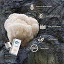 lions-mane-liquid-drops-lions-mane-suppl-4.jpg