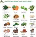 fruits-and-veggies-supplement-240-caps---5.jpg