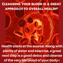 natural-blood-cleanser-capsules-organic--6.jpg