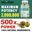hemp-gummies-high-potency-for-sleep-pain-2.jpg