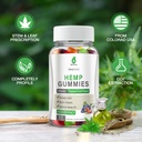 4-pack-organic-hemp-gummies-extra-streng-2.jpg