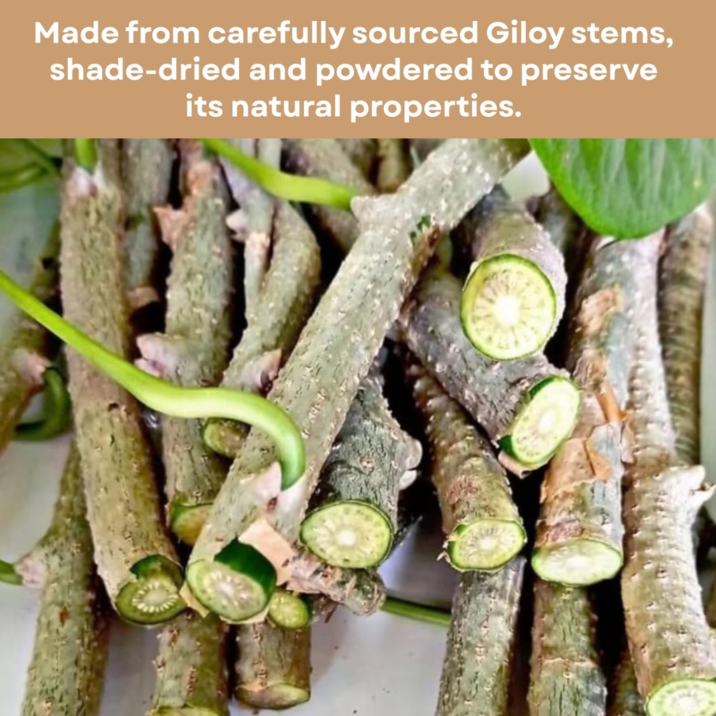 basic-ayurveda-giloy-powder-705-oz-200g--2.jpg
