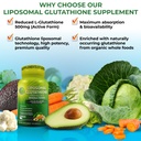 daily-immune-antioxidant-support-bundle--2.jpg