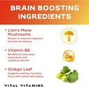 vital-vitamins-brain-booster-plus-mens-m-5.jpg