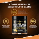 mma-nutrition-hrdwrk-100-servings-keto-e-4.jpg