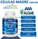 celulas-madres-4-botellas-vitamisan-3.jpg
