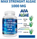 celulas-madres-4-botellas-vitamisan-2.jpg