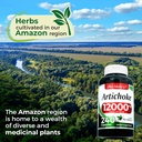 fito-medics-lab-artichoke-extract-artich-5.jpg