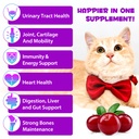 vosifsdiy-cat-multivitamin-15-in-1-cat-v-6.jpg