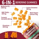 berberine-with-ceylon-cinnamon-gummies---3.jpg