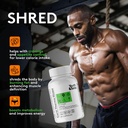 youth-tonic-sculpt-shred-cleanse-detox-3-3.jpg