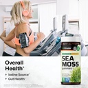 bio-krauter-irish-sea-moss-gummies-for-w-2.jpg