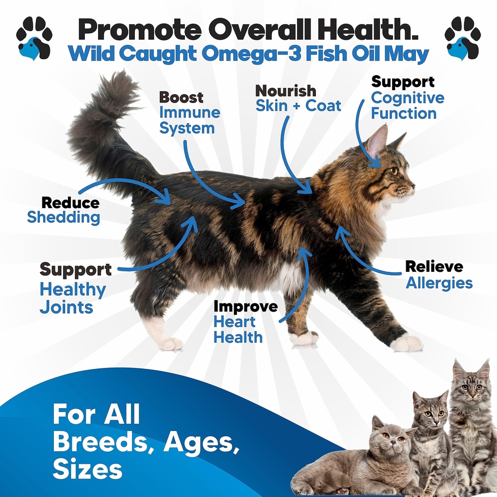 omega-3-fish-oil-for-cats-better-than-sa-2.jpg
