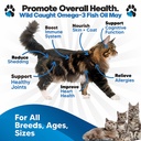 omega-3-fish-oil-for-cats-better-than-sa-2.jpg