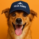 wild-alaskan-salmon-oil-for-dogs-and-cat-5.jpg