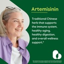 bestvite-artemisinin-500mg-per-capsule-6-2.jpg