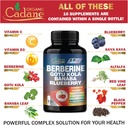 cadane-premium-berberine-extract---berbe-3.jpg