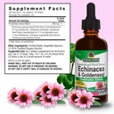 nature-s-answer-echinacea-and-goldenseal-3.jpg