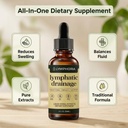 lymphoria-lymphatic-drainage-drops-lymph-3.jpg