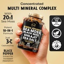 maju-superfoods-18-in-1-sea-moss-black-s-2.jpg