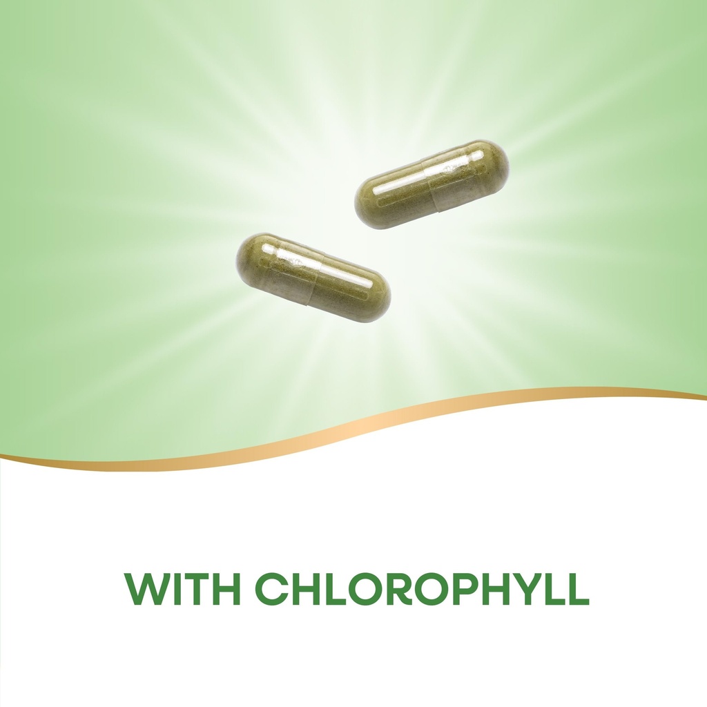 nature-s-way-premium-herbal-parsley-leaf-3.jpg