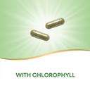 nature-s-way-premium-herbal-parsley-leaf-3.jpg