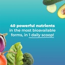 multiabsorbdaily-essential-multi-nutrien-3.jpg