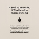 snap-supplements-black-seed-oil-capsules-6.jpg