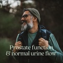 new-chapter-prostate-supplement-zyflamen-2.jpg