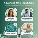 nad-spray-100-sprays-nicotinamide-adenin-3.jpg