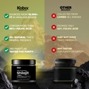 kobix-pure-himalayan-shilajit-resin-high-5.jpg