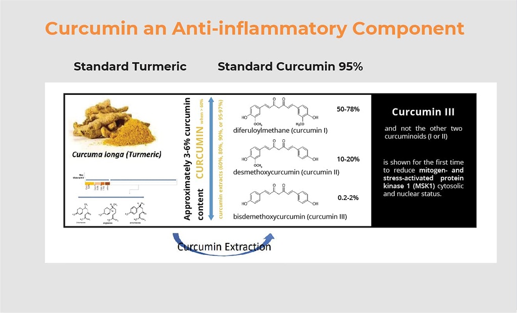 pro-novocurcumin-biobdmc50-next-generati-5.jpg