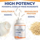 urolithin-a-supplement-1500mg-plus-brown-6.jpg