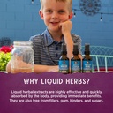 wishgarden-herbs-sleepy-nights-for-kids--5.jpg