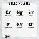 zeal-naturals-electrolyte-powder-recover-6.jpg