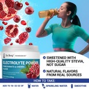 dr-berg-zero-sugar-hydration-keto-electr-6.jpg