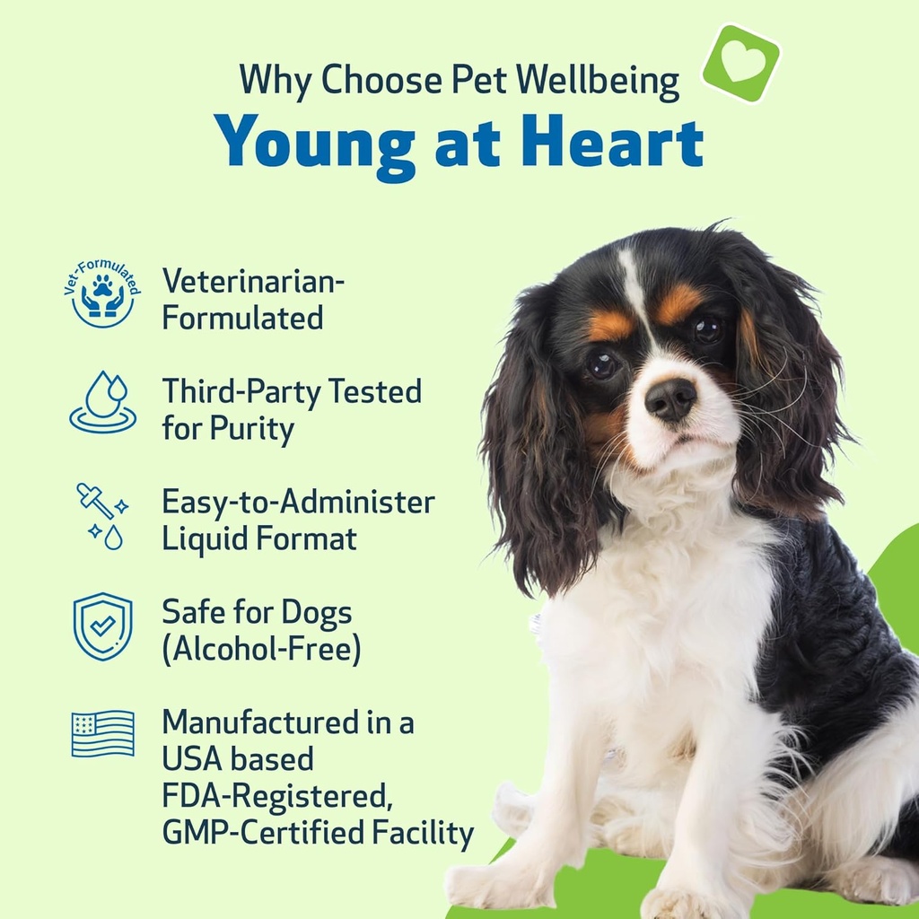 pet-wellbeing-young-at-heart-for-dogs----2.jpg