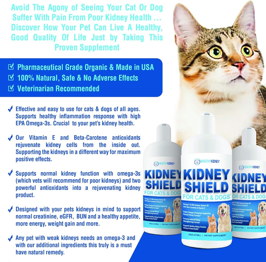 dog-and-cat-kidney-support-canine-feline-2.jpg