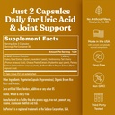 uric-acid-purge-and-primal-move-bundle-a-4.jpg