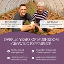 real-mushrooms-chaga-for-humans-120ct-tu-5.jpg