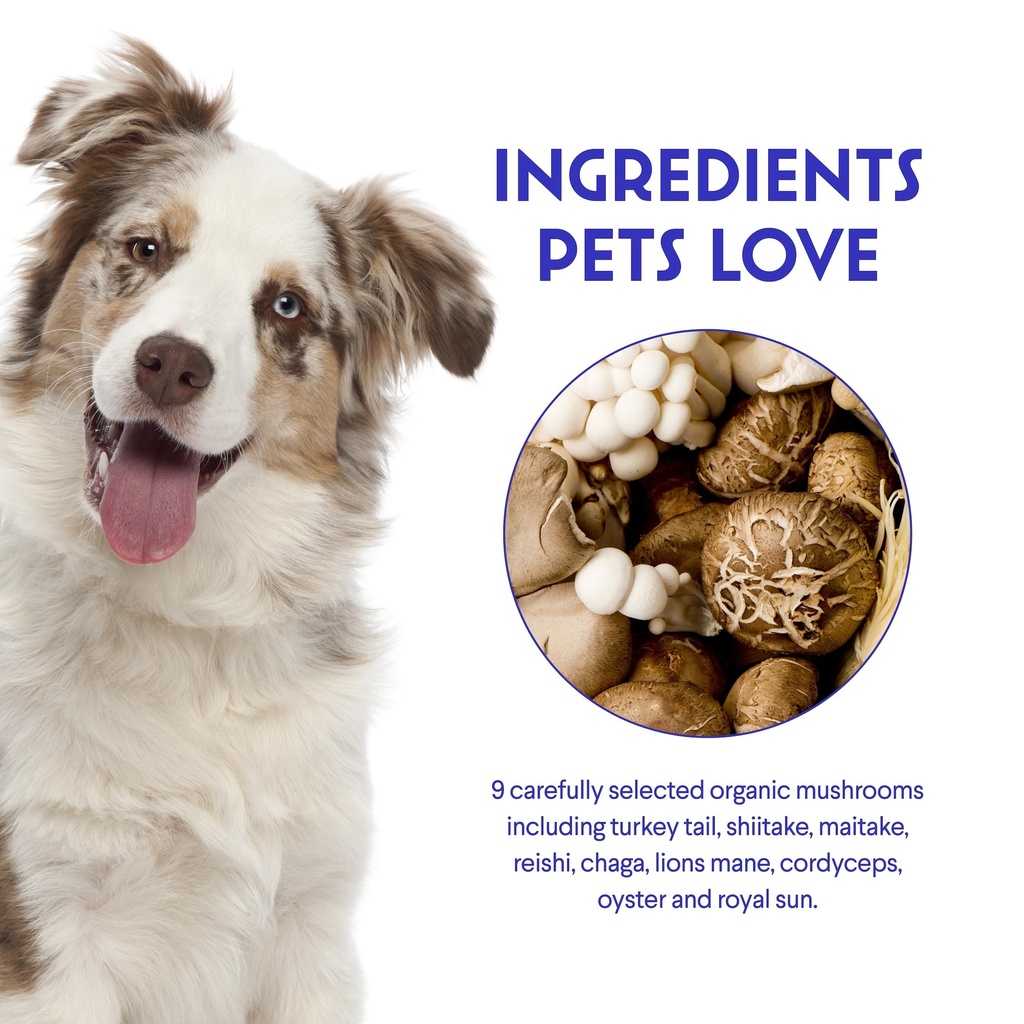 wonder-paws-immune-support-mushroom-powd-5.jpg